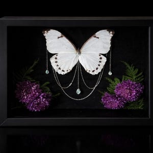 Puede incluir: Una exhibición enmarcada con una mariposa blanca con manchas negras, adornada con una cadena plateada y cristales en forma de lágrima. Flores moradas y follaje verde flanquean la mariposa sobre un fondo negro.