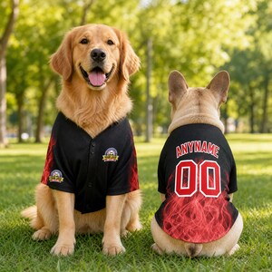 May include: Two dogs wearing black baseball jerseys with red flame patterns on the sleeves and back. The jerseys feature a circular logo on the chest and sleeve, with the text ANYNAME and the number 00 printed in white with red outlines on the back.