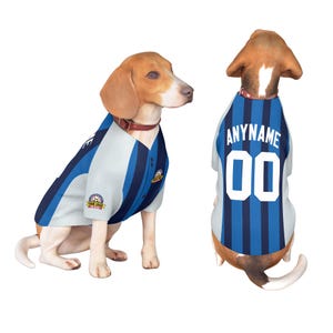 Może przedstawiać: Dwa psy w pasujących niebiesko-białych koszulkach baseballowych w paski. Koszulki mają napis "ANYNAME" i numer "00" z tyłu. Jeden pies jest przodem, a drugi tyłem.