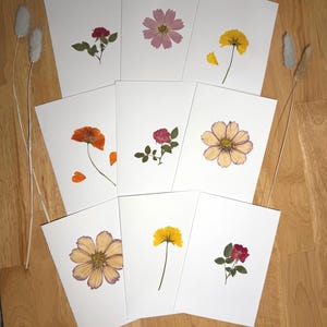 May include: A collection of white cards, each featuring a pressed flower in various colors, including pink, yellow, and orange. The flowers are arranged on the cards, creating a botanical theme. The cards are displayed on a wooden surface.