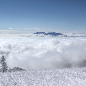 May include: A high-altitude landscape featuring a foreground of frost-covered grass and small evergreen trees. A thick, expansive layer of white clouds blankets the valley below, while distant dark mountain peaks emerge above the horizon under a clear blue sky.