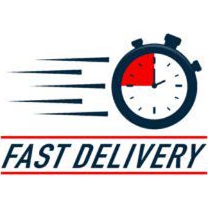 May include: A graphic of a stopwatch with a red section and black outline, with speed lines emanating from the side. Below the stopwatch is the text "FAST DELIVERY" in blue, with a red line above and below.