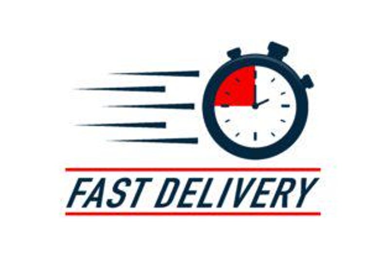 May include: A graphic of a stopwatch with a red section and black outline, with speed lines emanating from the side. Below the stopwatch is the text "FAST DELIVERY" in blue, with a red line above and below.