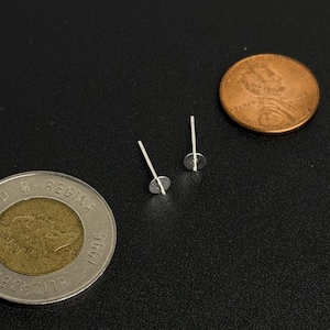 May include: A pair of small, silver stud earrings with a flat, circular backing. A copper penny and a Canadian two-dollar coin are also present, providing a size comparison. The items are set against a dark, textured background.