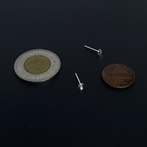 May include: Two small silver stud earrings with a clear, round gem are displayed on a black surface. A Canadian two-dollar coin and a U.S. penny are also present, providing scale.