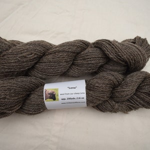 Könnte beinhalten: Zwei Knäuel braunes Wollgarn, beschriftet "Lena" Wolle von unserem Schaf Lena, ca. 200 Yards/2,6 oz. www.timberwolfyarns.com