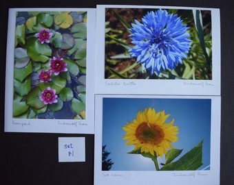 Tarjeta de felicitación con fotografía de flores