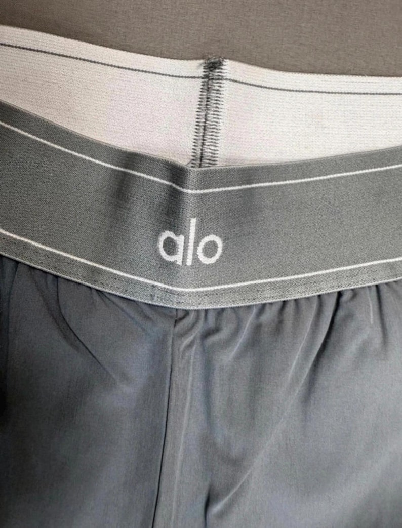 Puede incluir: Primer plano de unos pantalones cortos deportivos grises con una cintura blanca. La cintura presenta el nombre de la marca "alo" en letras blancas. Los pantalones cortos est&aacute;n hechos de una tela suave, posiblemente que absorbe la humedad.