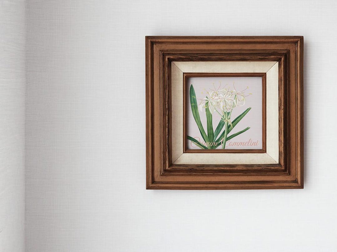 Vintage Botanical Lily Wall Art Print | White Lily | Flower ...