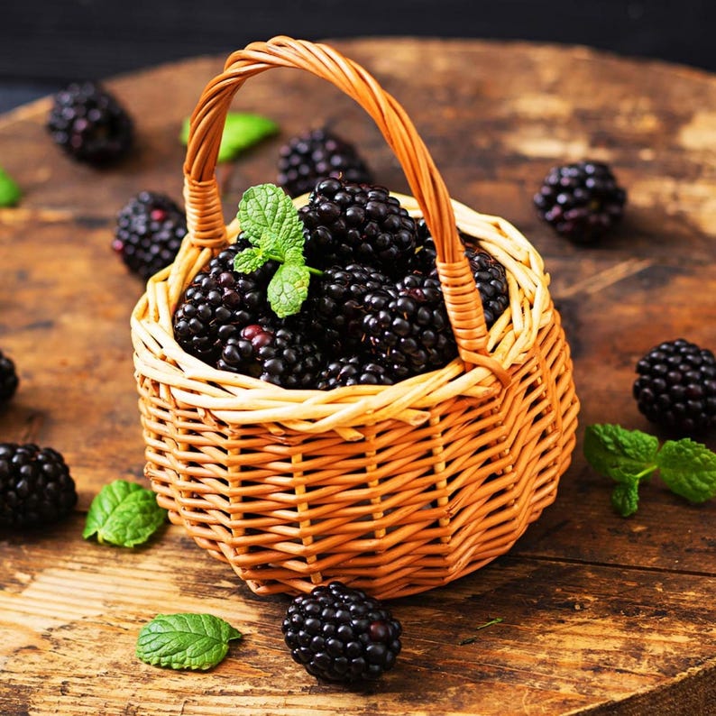May include: A small, woven wicker basket filled with fresh, ripe blackberries. The dark purple berries are accented by green mint leaves, scattered on a rustic wooden surface. The basket has a curved handle and is surrounded by additional blackberries.