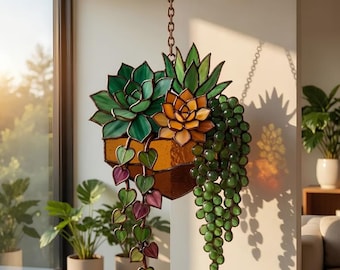 Atrapasueños acrílico con suculentas - Maceta colgante para ventana, decoración con suculentas mixtas y enredadera, regalo botánico de estilo rústico.