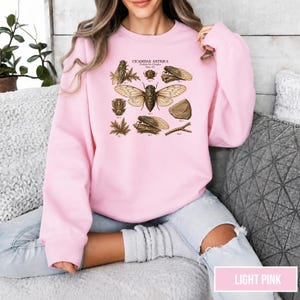 May include: A light pink crewneck sweatshirt featuring a vintage-style scientific illustration of cicadas. The graphic includes the text CICADIDAE ANTIQUA and various labeled insect drawings in shades of brown, tan, and black across the chest area.