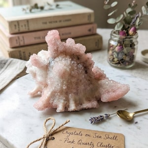 May include: A rustic wooden sign with the text "Welcome to our home" in white lettering. The sign features a distressed finish and a simple, inviting design, perfect for entryway decor.