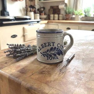Vintage Westerwald Salt Glazed Albert City Iowa Mug.