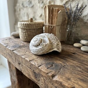 May include: A large, off-white spiral seashell with a textured, weathered surface sits on a rustic wooden surface. Nearby are a small woven basket with a lid, a stack of aged, unbound paper pages tied with twine, and a glass jar containing dried lavender.
