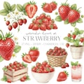 Watercolor Strawberry Clipart PNG Berry Clipart Bundle for Summer Designs Party decor Realistic Strawberries Instant Download Commercial Use product logo