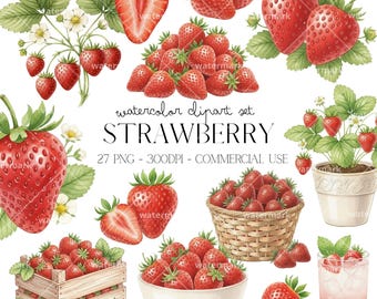 Imágenes prediseñadas de fresas en acuarela PNG Paquete de imágenes prediseñadas de bayas para diseños de verano Decoración de fiestas Fresas realistas Descarga instantánea Uso comercial