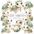 Cute Turtles Clipart Watercolor PNG Turtle Clipart Bundle Birthday Party, Nursery Decor, Baby Shower, Commercial Use, Instant Download product logo