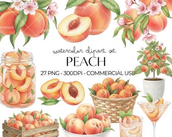 Imágenes prediseñadas de duraznos en acuarela PNG, paquete estético de fruta de durazno para diseños de verano, gráficos realistas de árboles de durazno, descarga instantánea para uso comercial.