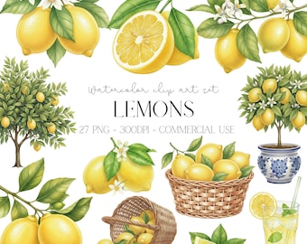 水彩レモンのクリップアートPNG、リアルな柑橘系フルーツのクリップアートセット、夏の装飾、レモネードの誕生日パーティー、即時ダウンロード、商用利用可