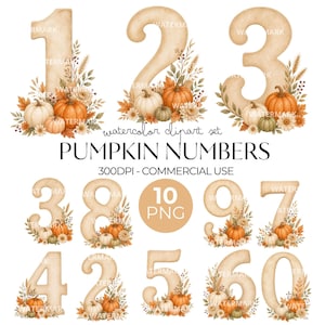 May include: A digital watercolor clipart set featuring numbers decorated with pumpkins, wheat, and autumn foliage. The collection includes ten PNG files labeled as PUMPKIN NUMBERS, 300DPI, and commercial use, showcasing beige numbers adorned with orange and green elements.