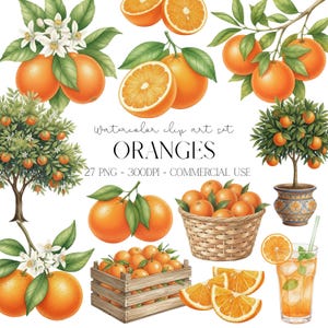Peut inclure: Ensemble de clip art à l'aquarelle avec des oranges, des tranches d'orange et des orangers. L'image comprend des oranges dans une caisse en bois et un panier en osier, ainsi qu'un verre de jus d'orange. Le texte indique "ORANGES".