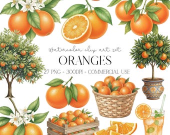 水彩オレンジのクリップアートPNG、柑橘類のクリップアートセット、夏のデザイン、誕生日パーティー、バーメニュー用、即時ダウンロード、商用利用可
