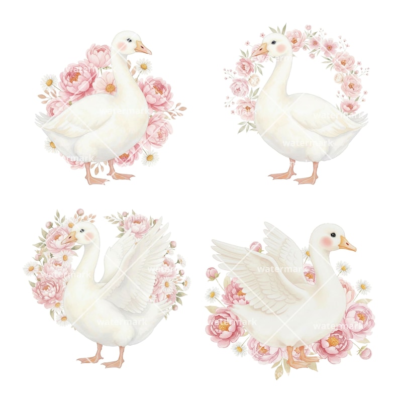 Pink Goose Watercolor Clipart PNG Baby Goose Clipart Bundle for Girly ...