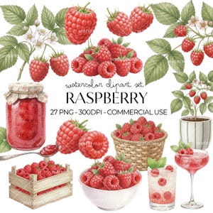 Può includere: Set di clipart ad acquerello con lamponi rossi maturi, foglie e fiori. Include un barattolo di marmellata, un cestino, una ciotola e un cocktail. Il testo recita "RASPBERRY" e "27 PNG - 300DPI - COMMERCIAL USE."