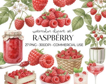 Paquete de imágenes prediseñadas PNG de frambuesas en acuarela, imágenes prediseñadas de frutas del bosque, gráficos de frutas para ideas de menú, tarjetas de recetas, descarga instantánea, uso comercial.