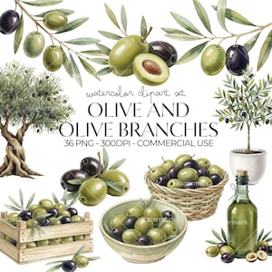 Olive Clipart Watercolor PNG Olive Branch Clipart Bundle, Mediterranean Food Illustration, Olive Oil Art, Instant Download, Commercial Use