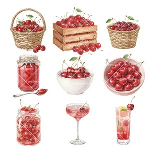 May include: Watercolor illustration of various arrangements of ripe red cherries. Includes cherries in a wicker basket, wooden crate, and white bowls. Also features a jar of cherry jam, a spoon, and two cherry cocktails.