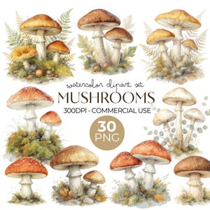 Peut inclure: Une collection numérique d'illustrations de champignons à l'aquarelle présentant divers champignons bruns et orange avec des tiges blanches, des fougères vertes et du feuillage. Le texte indique : watercolor clipart set MUSHROOMS 300DPI - COMMERCIAL USE 30 PNG.