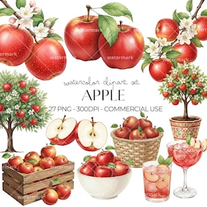 Watercolor Apple Clipart PNG Red Apple Clipart Bundle for Kitchen Decor, Teacher Designs, Realistic, Instant Download, Commercial Use
