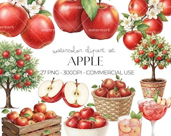 Imágenes prediseñadas de manzanas en acuarela PNG Paquete de imágenes prediseñadas de manzanas rojas para decoración de cocina, diseños para profesores, realistas, descarga instantánea, uso comercial