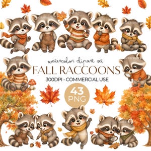 Könnte beinhalten: Eine digitale Sammlung von Aquarell-Illustrationen von Waschbären in verschiedenen Posen, mit Schals und Pullovern, umgeben von Herbstblättern und Bäumen. Der Text lautet: watercolor clipart set FALL RACCOONS 300DPI - COMMERCIAL USE 43 PNG.