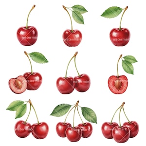 May include: Watercolor illustration of ripe cherries with green leaves. The image shows whole cherries, pairs, and a cut cherry revealing the pit. The cherries are a deep red color, with green stems and leaves.