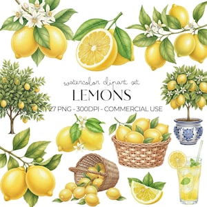 Imágenes prediseñadas de limones en acuarela PNG. Conjunto de imágenes prediseñadas realistas de frutas cítricas para decoración de verano, fiesta de cumpleaños con limonada, descarga instantánea, uso comercial.