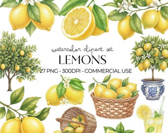 Watercolor Lemon Clipart PNG Realistic Citrus Fruit Clipart Set for Summer Decor Lemonade Birthday Party, Instant Download, Commercial Use