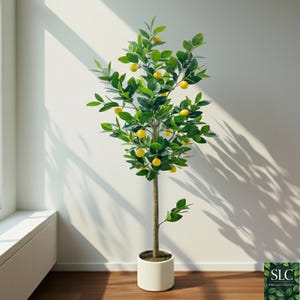 Puede incluir: Un limonero artificial en una maceta blanca. El árbol tiene hojas verdes y limones amarillos. El tronco es marrón y la maceta es cilíndrica. El árbol está colocado cerca de una ventana, con la luz solar proyectando sombras en la pared.