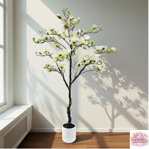 Puede incluir: Un árbol de magnolia artificial alto en una maceta blanca tejida. El árbol tiene un tronco y ramas oscuras con flores blancas y hojas verdes. El árbol está colocado cerca de una ventana, proyectando una sombra en la pared.