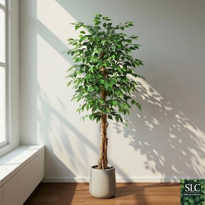 Könnte beinhalten: Eine weiße Keramiktasse mit schwarzem Henkel und dem Text "But First, Coffee" in handschriftlichem Stil. Die Tasse steht auf einer weißen Oberfläche. Die Tasse ist etwa 10 cm hoch.