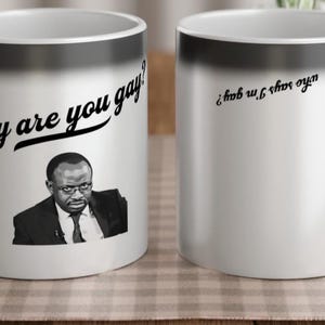 Mug Funny Meme Heat Reveal - Pourquoi êtes-vous gay ? - Cadeau parfait pour les amateurs de mèmes
