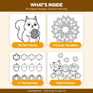 May include: A colouring book page preview titled WHAT'S INSIDE with 44 original designs. It displays four sections: 35 Fall Friends featuring a squirrel, 4 Chunky Mandalas with acorns, a tracing page with leaves and pumpkins, and 4 Story Scenes.