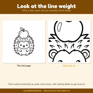 May include: A colouring page featuring a black and white line drawing of a hedgehog with an apple on its head. The image includes text: Look at the line weight, Why a four-year-old can actually finish these, The full page, Close up, 3x, and COLORPAGEPRINTS.