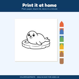 May include: A printable coloring page featuring a black and white line drawing of a seal resting on an ice floe. The text reads Print it at home, Plain paper, black ink, done in a minute, and COLORPAGEPRINTS BOLD & EASY FOR AGES 4-8.