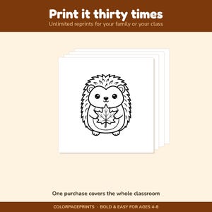 K&ouml;nnte beinhalten: Eine digitale Malvorlage mit einer schwarz-wei&szlig;en Strichzeichnung eines niedlichen Igels, der ein Ahornblatt h&auml;lt. Der Text lautet: Print it thirty times, Unlimited reprints for your family or your class, One purchase covers the whole classroom.