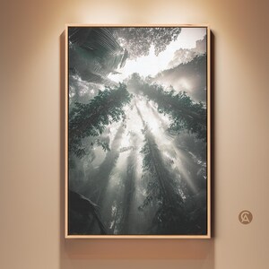 May include: A framed art print depicting a forest canopy, viewed from below. Tall trees reach upwards, with sunlight streaming through the branches, creating a dramatic, ethereal effect. The color palette is primarily green and white, with a touch of brown from the frame.