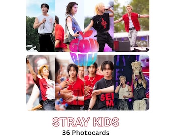 Stray Kids – GovBall NYC Festival 36 Photocards(Fan-Made)