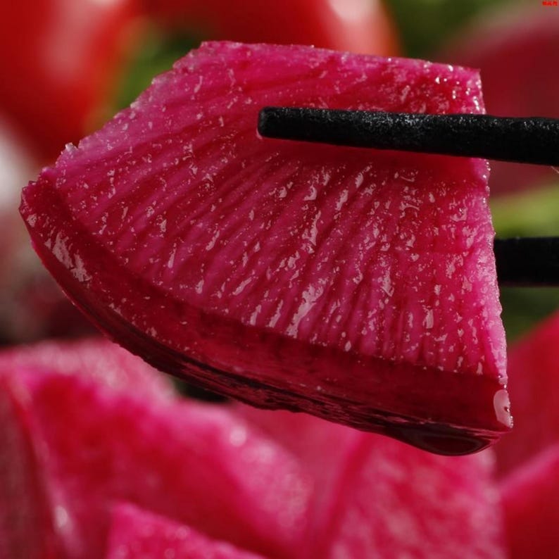 May include: A close-up of a vibrant, magenta-colored radish slice held by black chopsticks. The radish has a textured surface and appears juicy. Other radish slices are visible in the blurred background, suggesting a culinary theme.